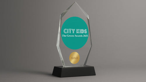 Awards: Young Soles Wins Gold at the City Kids Green Awards 2025